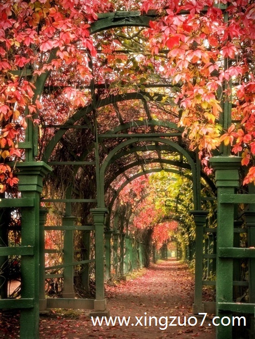 最塔罗一周星座运势(2025.5.19-5.25)1