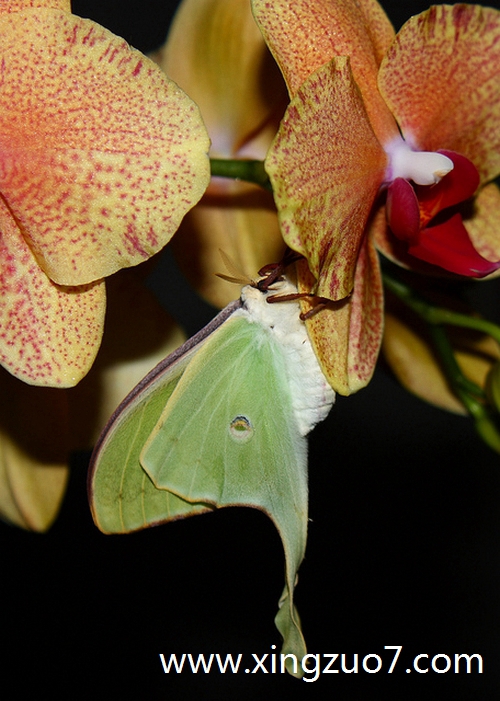 唐立淇今天运势2025.5.281