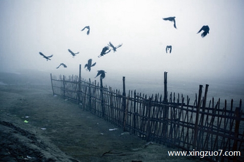 狂月今天运势2024.12.141