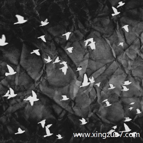 艾菲尔今天运势2025.5.231