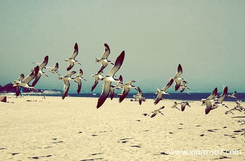 狂月今天运势2024.12.201