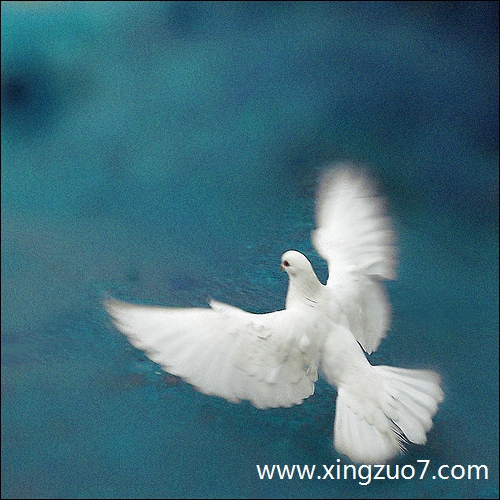 苏珊米勒今天运势2025.1.61