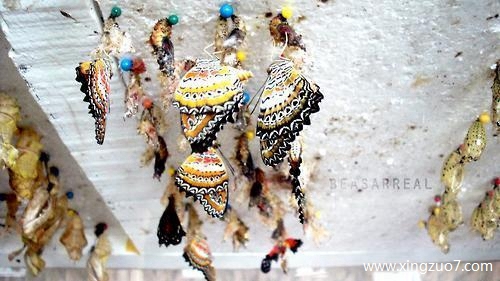 唐立淇今天运势2025.6.241