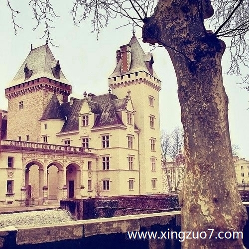 苏珊米勒今天运势2025.1.281