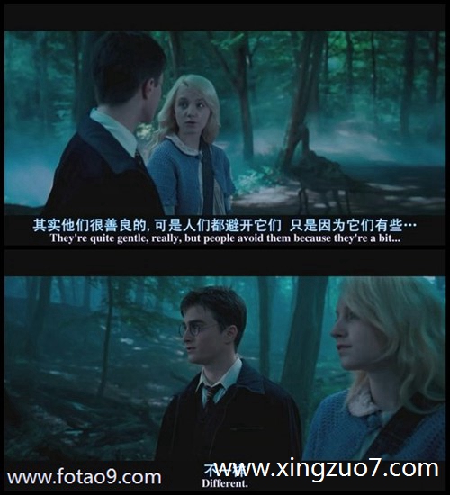 玛法达今天运势2025.2.191