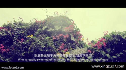 狂月今天运势2025.6.27