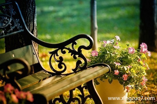 最塔罗今天运势2025.5.41