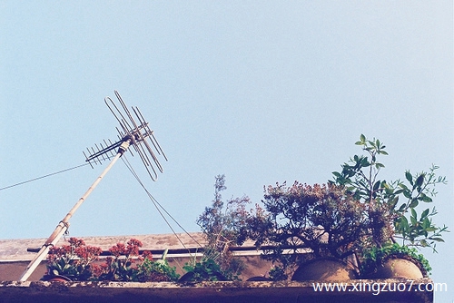 苏珊米勒今天运势2025.7.41