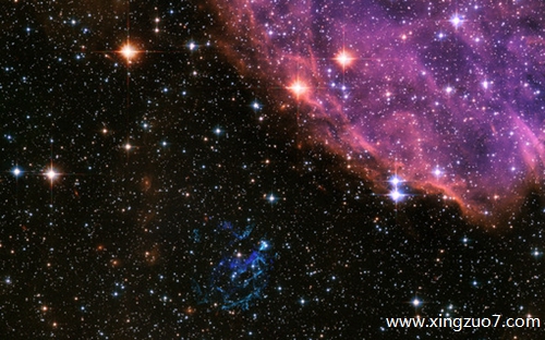 苏珊米勒今天运势2025.5.41