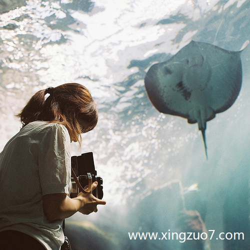 唐立淇今天运势2025.5.191