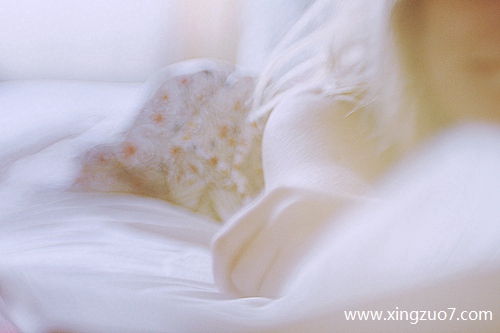 猫石对话今天运势2025.5.231