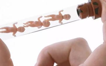 卢姓男孩姓名2025年2月4日出世的