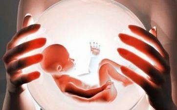 妈妈姓何爸爸姓文取名男孩