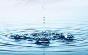 五行属木属水最旺的字取名 五行属木属水字最旺的字