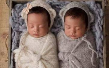 姓董的和姓郑的孩子叫什么