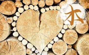 宝宝取名五行属木水什么字最好 五行属什么字属木水