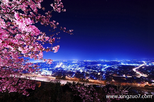 Astro一周星座运势(2025.11.3-11.9)1