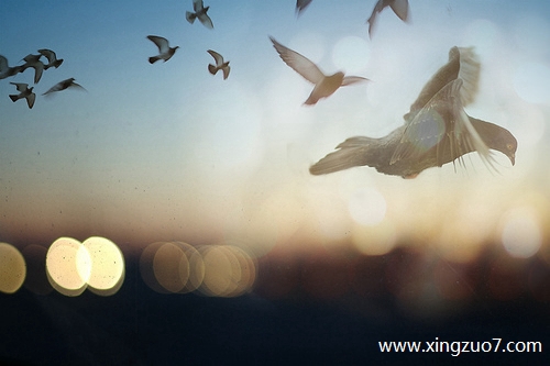 最塔罗今天运势2025.8.161