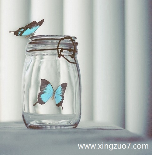 苏珊米勒今天运势2025.8.221