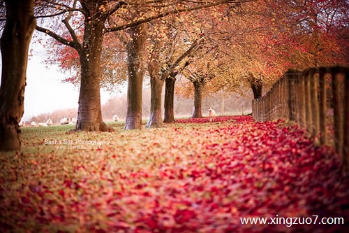 最塔罗一周星座运势(2025.7.21-7.27)1