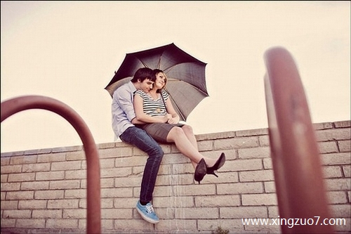 猫石对话今天运势2025.8.121