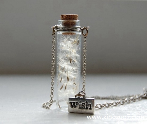 猫石对话今天运势2025.8.161