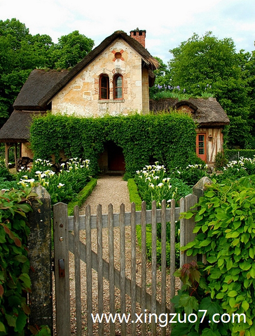 最塔罗今天运势2025.10.31