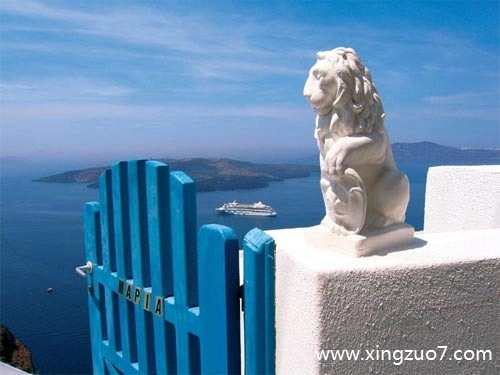 猫石对话今天运势2025.11.81