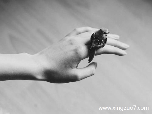 唐立淇今天运势2025.7.241