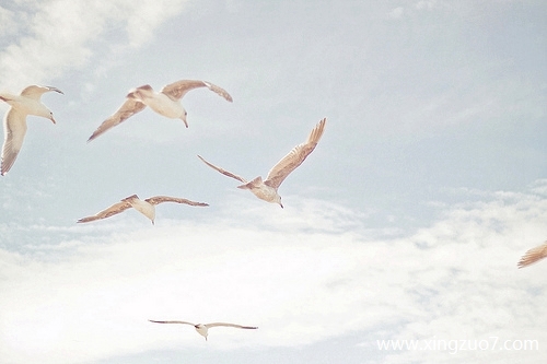 玛法达今天运势2025.9.171