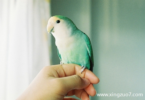 最塔罗今天运势2025.7.91