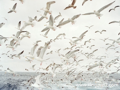 艾菲尔今天运势2025.8.311