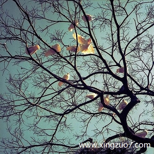 苏珊米勒今天运势2025.8.121