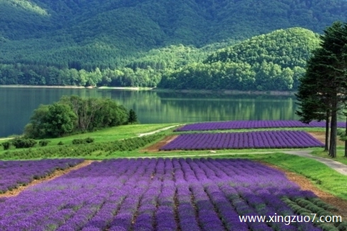 Astro今天运势2025.10.11