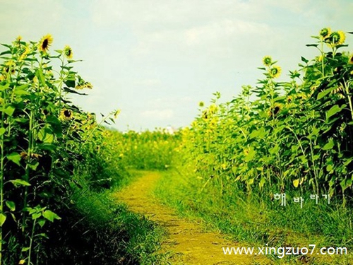 唐立淇今天运势2025.7.41