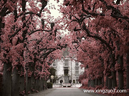 猫石对话今天运势2025.10.21