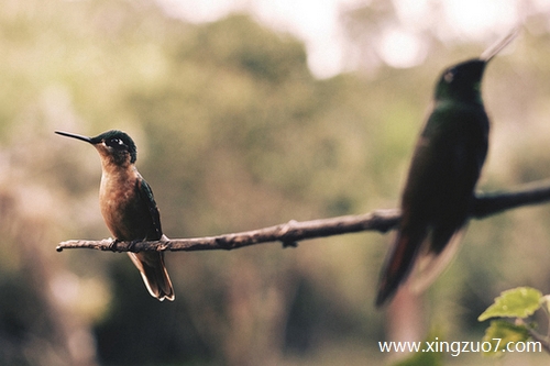 狂月今天运势2025.8.121