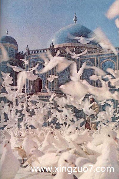 艾菲尔今天运势2025.10.311