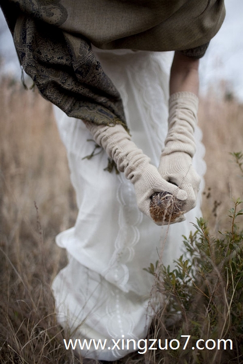 玛法达今天运势2025.8.201