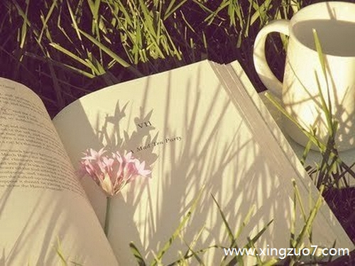 苏珊米勒今天运势2025.8.281