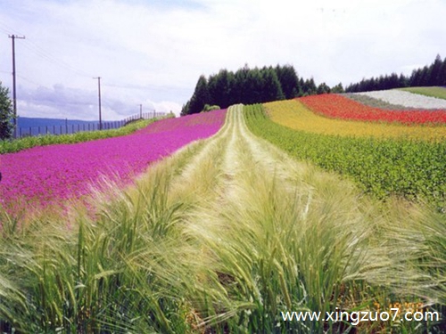 玛法达今天运势2025.7.241