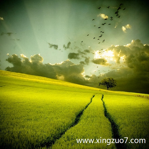 狂月今天运势2025.10.11