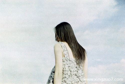 猫石对话一周星座运势(2025.11.3-11.9)1