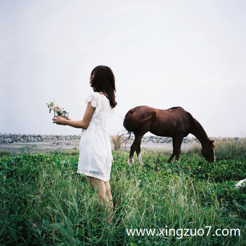 艾菲尔今天运势2025.7.41