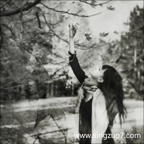 苏珊米勒一周星座运势(2025.7.28-8.3)1