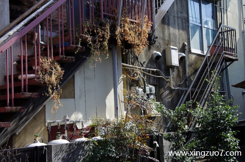 猫石对话一周星座运势(2025.7.28-8.3)1