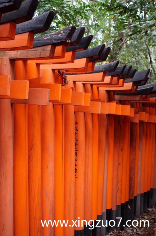 最塔罗今天运势2025.8.171