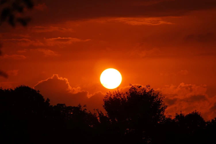 养宠蹊径上总是不那么太平 狗狗一样平常喂养小知识大公然