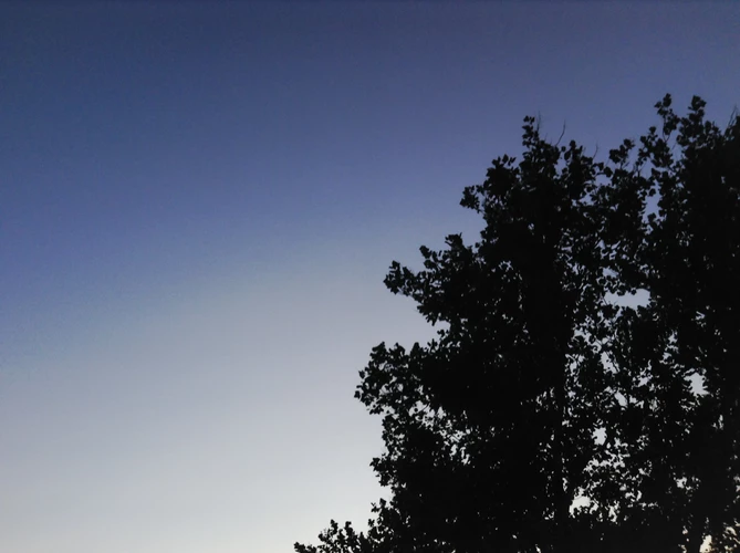 职场男性不成熟的十大标志