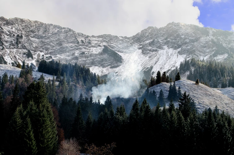 84鼠2026年运势及运程 每月运势会怎么样